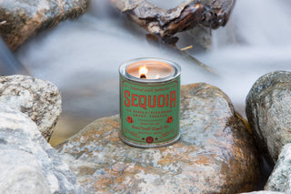 Good & Well Supply Co. - Sequoia National Park Candle: 1/2 Pint / Cotton Wick